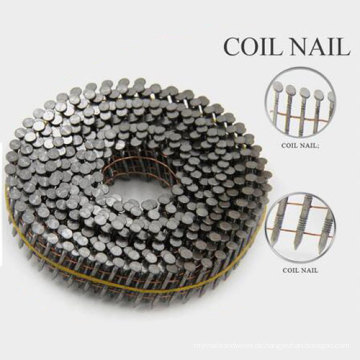 Heißer Verkauf Coiled Roofing Nails mit Nizza Preis